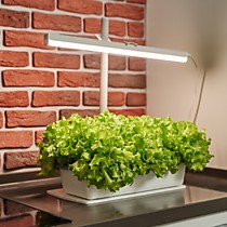 Светильник ФИТО RGG525- 25Вт 220В LED GROW light для растений Солнечный свет