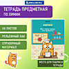 Тетрадь предметная КОТ-ЭНТУЗИАСТ 48л, TWIN лак, ХИМИЯ, клетка, подсказ, BRAUBERG, / 10  / 80